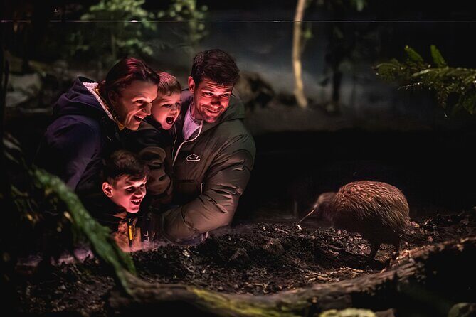 Kiwi Park Queenstown Admission - Is Kiwi Park Queenstown Worth It?