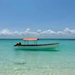 Kizimkazi: Pungume Island Snorkeling & Sandbank Tour - FAQ