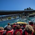 KJet Queenstown Jet Boat Ride on the Kawarau and Shotover Rivers - Authentic Experiences from Reviewers