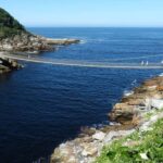 Klein Karoo, Garden Route and Addo Shore 3-Day Excursion - Practical Details and What to Expect