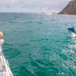 Knysna: #1 Private Scenic Cruise Aboard a Luxury Catamaran - The Allure of Knysna’s Natural Beauty