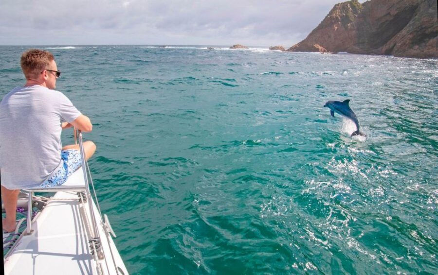 Knysna: #1 Private Scenic Cruise Aboard a Luxury Catamaran - The Allure of Knysna’s Natural Beauty