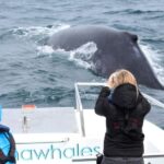 Knysna: Close Encounter Whale Watching Tour by Boat - Navigating the Knysna Heads