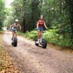 Knysna: Downhill Forest Scootour Adventure - Final Thoughts: Is It Worth It?
