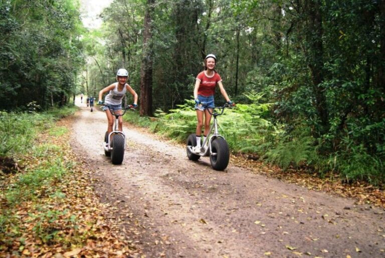 Knysna: Downhill Forest Scootour Adventure - Final Thoughts: Is It Worth It?