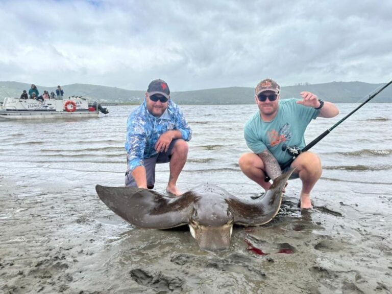 knysna lagoon fishing charter - The Pros and Cons Based on Reviews