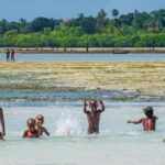 Kojani Island: SHOBE Dance Tour with Workshop & Tastings - A Deep Dive into the Kojani Island SHOBE Tour Experience