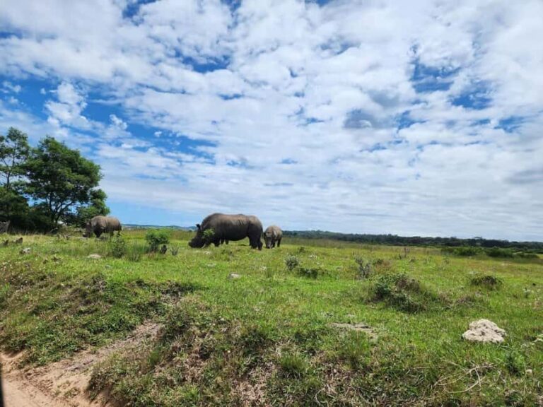 Kragga Kamma Game Park Half Day Safari - What to Expect at Kragga Kamma Game Park