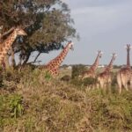 Kragga kamma private game reserve tour - Why This Tour is a Great Value