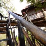 Kruger National Park: 3-Day Safari Tour and Treehouse Stay - Authentic Experiences and Highlights