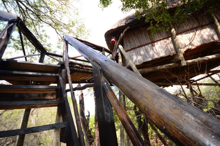 Kruger National Park: 3-Day Safari Tour and Treehouse Stay - Authentic Experiences and Highlights