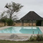 Kruger National Park: 4-Day Glamping Budget Safari - An Overview of the Itinerary and Experience