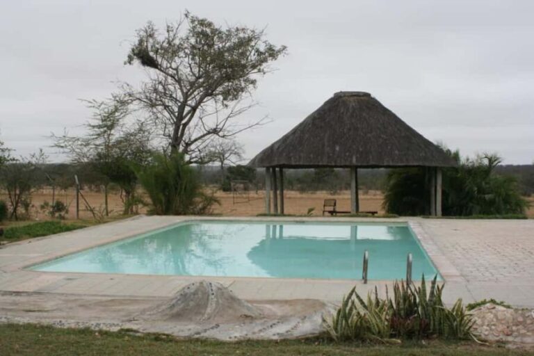 Kruger National Park: 4-Day Glamping Budget Safari - An Overview of the Itinerary and Experience