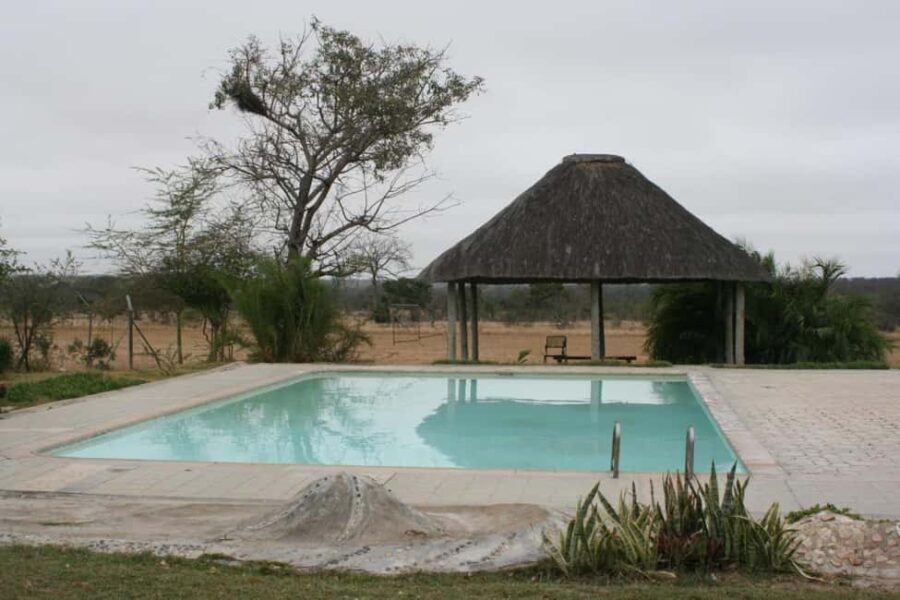 Kruger National Park: 4-Day Glamping Budget Safari - An Overview of the Itinerary and Experience