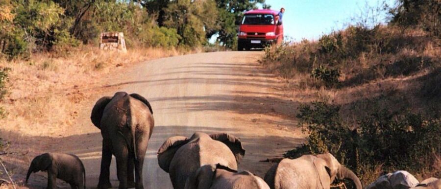 Kruger National Park - 4 Day Tour from Johannesburg - The Itinerary Breakdown