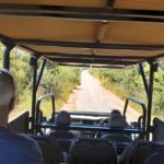 Kruger National Park: 4-Day Ultimate Safari Tour - What’s Included, and What’s Not?