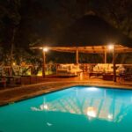 Kruger National Park: 5-Day Discover the Kruger Park Safari - What’s Included and What to Consider