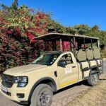 Kruger National Park Full-Day Game Drive - The Value of This Tour