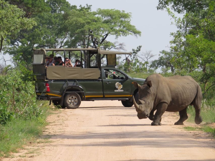 Kruger National Park: Full-Day Private Safari With Pickup - What to Expect: A Typical Day in the Park