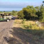 Kruger National Park half day - What Is Included and What to Keep in Mind