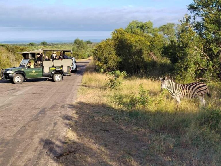 Kruger National Park half day - What Is Included and What to Keep in Mind