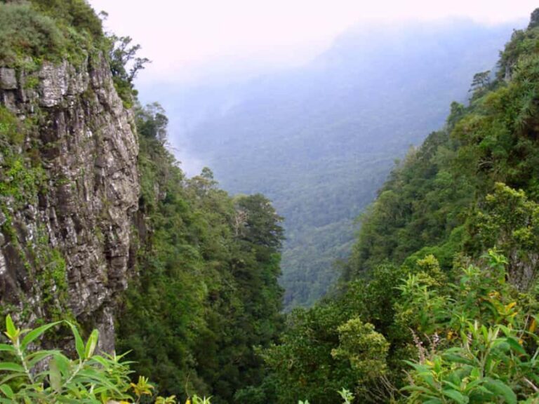 Kruger National Park: Half-Day Safari Game Drive - FAQ