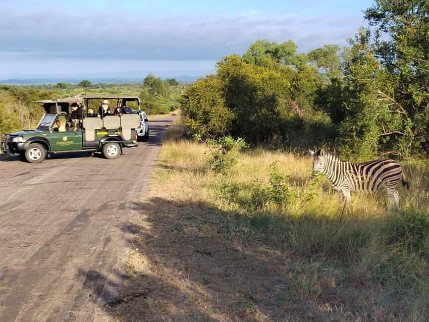 Kruger National Park half day - What Is Included and What to Keep in Mind