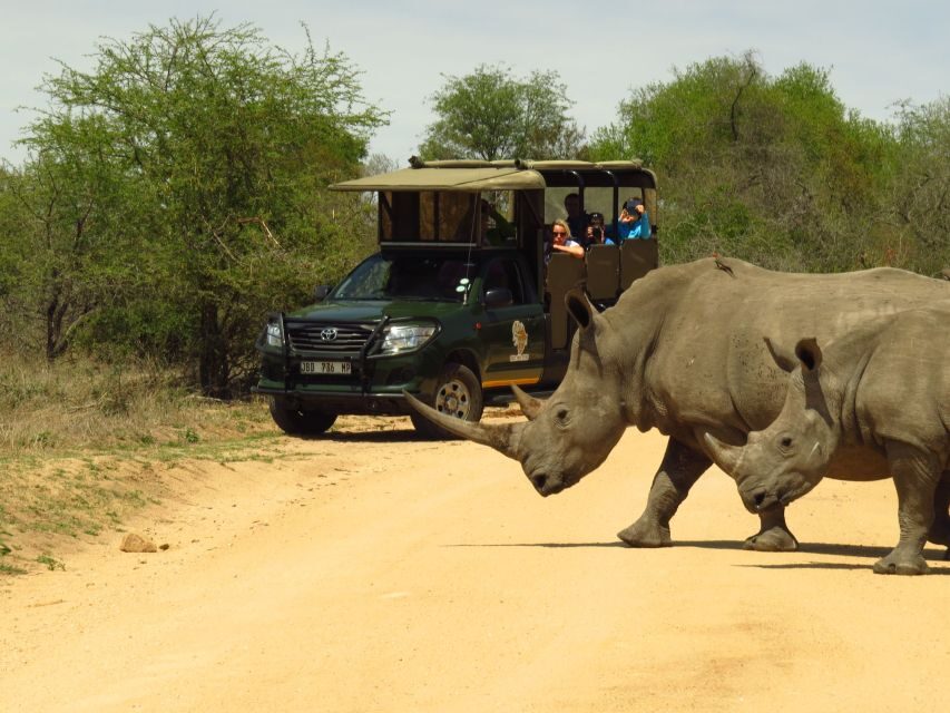 Kruger National Park: Morning Safari - What to Expect From the Tour