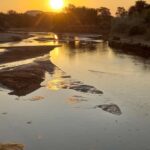 Kruger National Park: Private Safari Tour - Kruger National Park: Private Safari Tour — An Authentic Wildlife Experience in South Africa