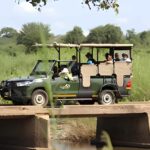 Kruger National Park Safari (Full Day) - What’s Not Included and Practical Tips