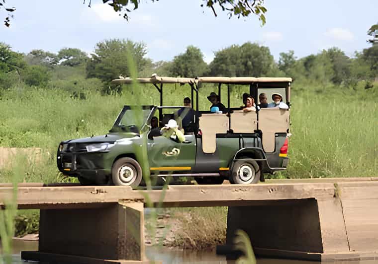 Kruger National Park Safari (Full Day) - What’s Not Included and Practical Tips
