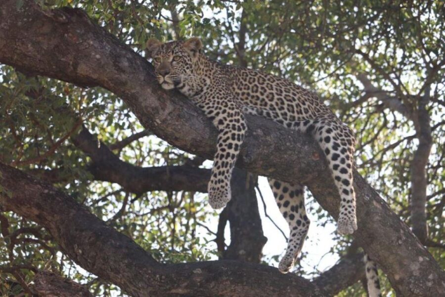 Kruger National Park, - Who Is This Tour Best For?