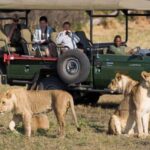 Kruger Park & Blyde River Canyon 4Day Safari fr Johannesburg - What’s Included and Why It Matters
