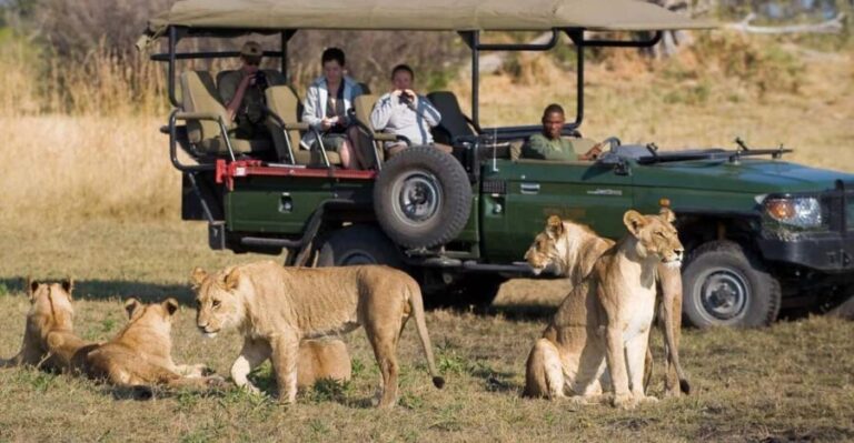 Kruger Park & Blyde River Canyon 4Day Safari fr Johannesburg - What’s Included and Why It Matters
