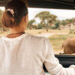 Kruger Park Scheduled Full day Safari Drive from Hoedspruit - Key Points