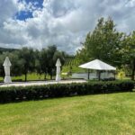 Kumeu Wine Tour - What You Can Expect from the Experience