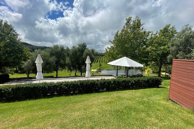 Kumeu Wine Tour - What You Can Expect from the Experience