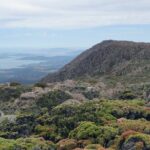 kunanyi/Mt Wellington Explorer Bus - One Way Tour - A Closer Look at the Experience