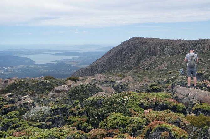 kunanyi/Mt Wellington Explorer Bus - One Way Tour - A Closer Look at the Experience
