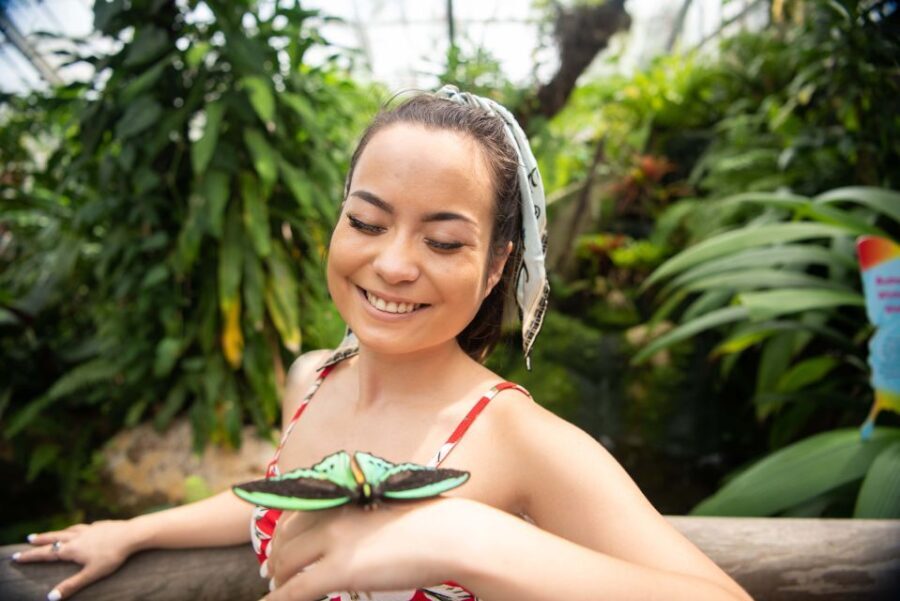 Kuranda: Australian Butterfly Sanctuary - Final Thoughts: Is it Worth It?