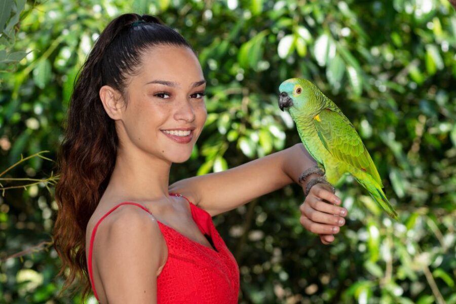 Kuranda: Birdworld Entry Ticket - The Bird Species and Encounters