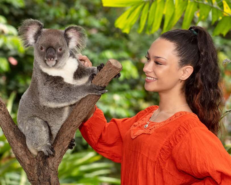 Kuranda by Design, a VIP package experience - Why This Tour Works
