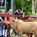 Kuranda Half Day with Petting Zoo & Horse Trail Ride Tour - Deep Dive into the Experience: Pros and Cons