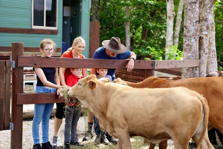 Kuranda Half Day with Petting Zoo & Horse Trail Ride Tour - Deep Dive into the Experience: Pros and Cons