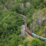 Kuranda & Hartley's Crocodile Adventures - The Itinerary Breakdown: What to Expect