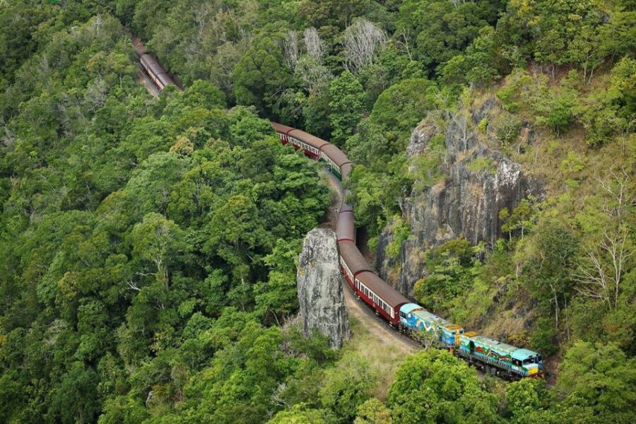 Kuranda & Hartley's Crocodile Adventures - The Itinerary Breakdown: What to Expect