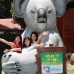 Kuranda Koala Gardens and Birdworld Admission Tickets - Final Thoughts: Is It Worth It?