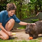 Kuranda Koala Gardens General Entry Ticket - The Itinerary and What to Expect