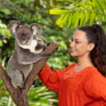 Kuranda Koala Gardens Park Entry - The Sum Up