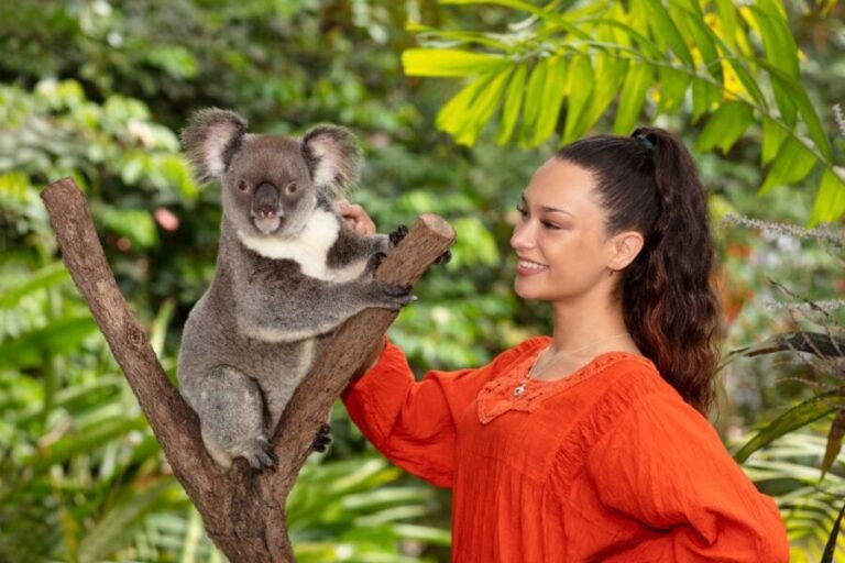 Kuranda Koala Gardens Park Entry - The Sum Up